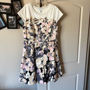 Isaac Mizrahi Live! Dress Size 16.